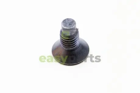 Болт переднього диска тормозного Master/Trafic 09- RENAULT / DACIA 7703004176