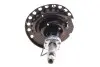 Амортизатор (передній) Nissan Micra III 03-10 (L) KAVO PARTS SSA-6518 (фото 4)
