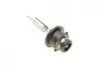 Автолампа D2R 85V 35W P32d-3 Eco HID WS BOSCH 1987302852 (фото 10)