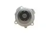Помпа води VW Caddy III 1.6/BiFuel 04-15 (23z), BGU, BSE, BSF, CHGA DAYCO DP029 (фото 3)