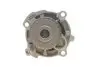 Помпа води VW Caddy III 1.6/BiFuel 04-15 (23z), BGU, BSE, BSF, CHGA DAYCO DP029 (фото 4)