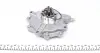 Насос вакуумний BMW 1(E81-88)/3(E46-93)/X3(E83)/Z4(E85) 1.8/2.0 00-15 TRUCKTEC 08.36.001 (фото 5)