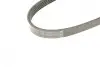 Ремінь генератора Smart Fortwo 0.8CDI 04- (5PK768) BOSCH 1987948489 (фото 5)