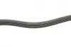 Ремінь генератора Smart Fortwo 0.8CDI 04- (5PK768) BOSCH 1987948489 (фото 3)