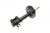 Амортизатор (передній) Citroen Nemo/Peugeot Bipper 08- (R) KAVO PARTS SSA-10058 (фото 6)