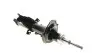 Амортизатор (передній) MB Vito (W639) 03- KAVO PARTS SSA-10157 (фото 12)