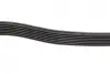 Ремінь генератора Ford Transit 2.4 DI-2.4TDCI 00-06 (7PK2875) BOSCH 1987948401 (фото 4)