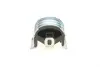 Подушка двигуна (передня) VW T5 1.9/2.0TDI/BiTDI 03- Delphi TEM125 (фото 1)