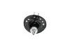 Амортизатор (передній) Nissan Juke 10- (R) KAVO PARTS SSA-6528 (фото 3)