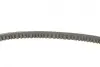 Ремінь генератора VW Caddy/Golf/Passat 1.6-2.0 91-99/Seat Ibiza/Toledo 1.6/2.0 93-02 Contitech 11,5X685Ld (фото 2)