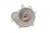 Помпа води MB C-class (W203/W204)/E-class (W211/W212) 02- TRUCKTEC 02.19.325 (фото 3)