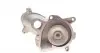 Помпа води BMW 3 (E90/E91/E92) 06-13/X3 (E83) 04-10 TRUCKTEC 08.19.236 (фото 2)
