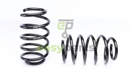 Комплект пружин (Pro-Kit) VW Golf VI 08-12 (4 шт.) EIBACH E10-85-022-01-22