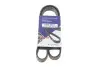 Ремінь генератора Ford Fiesta VI 1.25 08- (6PK1024) HUTCHINSON 1024 SK 6 (фото 2)