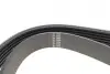 Ремінь генератора Ford Fiesta VI 1.25 08- (6PK1024) HUTCHINSON 1024 SK 6 (фото 4)