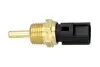 Датчик температури охолоджуючої рідини Mitsubishi Colt/Outlander/Pagero IV 88- (3/8x19) чорний KAVO PARTS ECT-1502 (фото 1)