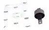 Сайлентблок важеля (заднього) Honda Civic V/CRX/ Rover 200/400 -00 KAVO PARTS SCR-2010 (фото 1)