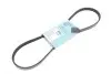 Фото 1 - ремінь генератора Renault Kangoo 1.2 16V 97-/ Kia Shuma1.8 97-04/ Suzuki Grand Vitara 2.5-2.7 98-03 BLUE PRINT AD04R926 Ремінь генератора Renault Kangoo 1.2 16V 97-/ Kia Shuma1.8 97-04/ Suzuki Grand Vitara 2.5-2.7 98-03 BLUE PRINT AD04R926 (фото 1)