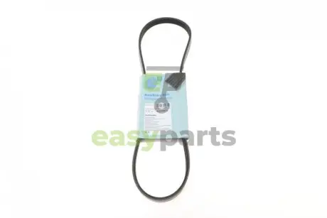Ремінь генератора Fiat Doblo 1.6i 01-/ Kia Carnival 2.9 99-06 BLUE PRINT AD04R870