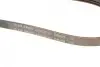 Ремінь генератора Mazda 626 1.8-2.0/Toyota Camry 2.0-2.5 83-96/Celica 2.0 89-93/Kia Clarus 2.0 98- BLUE PRINT AD03R763 (фото 4)