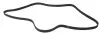 Ремінь генератора BMW X5/Ford Focus 1.4/1.6 16V 98- (6PK1892) HUTCHINSON 1892 K 6 (фото 1)