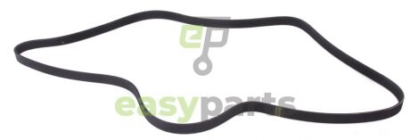 Ремінь генератора BMW X5/Ford Focus 1.4/1.6 16V 98- (6PK1892) HUTCHINSON 1892 K 6