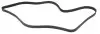 Ремінь генератора Ford Connect 1.8TDCi 06-14/Citroen C5 2.0HDi 00- (6PK1745) HUTCHINSON 1745 K 6 (фото 1)