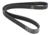 Ремінь генератора Citroen Jumper/Peugeot Boxer2.5D/TD (6PK1010) HUTCHINSON 1010 K 6 (фото 2)