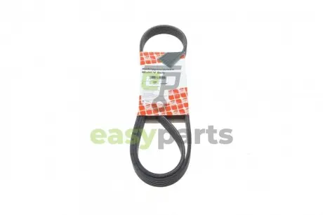 Ремінь генератора VW T5 1.9TDI/VW Caddy III 1.9/2.0TDI (+AC) FEBI BILSTEIN 34459