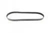 Ремінь генератора Citroen Jumper/Peugeot Boxer 2.5D/TDI 94-02 AC /2.5D -95 (6PK913) FEBI BILSTEIN 28904 (фото 4)