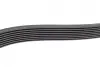 Ремінь генератора MB Axor 2 (OM926) 04- (8PK1635) BOSCH 1987947056 (фото 4)