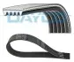 DAYCO поліклиновий 5PK1238 посилений! 5PK1238HD