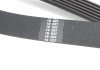 Ремінь генератора Ford Connect 1.5/1.6 TDCI 13- HUTCHINSON 963 K 6 (фото 7)