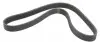 Ремінь генератора VW Caddy III/Fiat Ducato 1.6/2.5TDI 94-02 (6PK903) 903 K 6