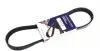 Ремінь генератора Citroen C4/Peugeot 307 1.6HDi 04- (6PK780) HUTCHINSON 780 K 6 (фото 1)