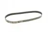 Ремінь генератора Citroen Jumper/Peugeot Boxer 2.0/2.2HDi 04- (-AC)/Opel Movano 2.5D MEYLE 050 006 0875 (фото 4)
