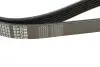 Фото 4 - ремінь генератора VW Caddy 1.9D/SDI -03 (6PK1035) MEYLE 050 006 1035 Ремінь генератора VW Caddy 1.9D/SDI -03 (6PK1035) MEYLE 050 006 1035 (фото 4)