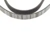 Ремінь генератора Citroen Berlingo 1.6HDI 08- (6PK1360) MEYLE 050 006 1360 (фото 4)