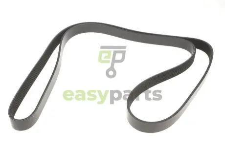 Ремінь генератора Renault Master/Opel Movano 2.5 dCi 03- (+AC) (7PK1795) MEYLE 050 007 1795