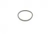 Ремкомплект супорта (переднього) Hyundai Elantra/Kia Rio III 00-(d=54mm)(Mando)(+1 поршнь/направляю) FRENKIT 754470 (фото 2)
