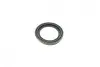 Ремкомплект супорта (переднього) VW T4 90-03 (d=54mm)(TRW)(+1 поршень/направляюча) SuperKit FRENKIT 754437 (фото 7)