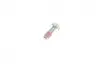 Ремкомплект супорта (переднього) Seat Ibiza 97-02 (d=54mm) (TRW)(+1 поршень/направляюча) SuperKit FRENKIT 754412 (фото 9)