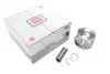 Поршень Renault Clio 1.5DCI 05- (76.00mm/STD) (71-3845-00)(Палець 25mm) = 7138450000 NPR 130 038 0026 00 (фото 1)