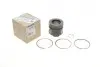 Поршень Renault Megane/Kangoo/Fluence 1.5dCi 10- RENAULT / DACIA 120A11104R (фото 1)