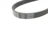 Ремінь генератора Jeep Wrangler 4.0 98-07/Toyota Avensis 1.6/1.8 00-03/Subaru Forester 13- (6PK1910) BOSCH 1987948451 (фото 3)