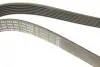 Ремінь генератора Audi A8 3.7/4.2 quattro 02-10/VW Phaeton 4.2 V8 4motion 03-16 (7PK2535) BOSCH 1987946284 (фото 4)