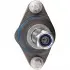 Опора кульова (передня) BMW X3 (E83) 2.0i-3.0i 03-11 FEBI BILSTEIN 32412 (фото 7)