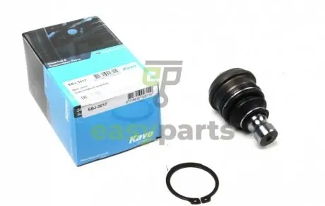 Опора кульова (передня/знизу) Hyundai Santa Fe I/II 00-/Kia Sorento II 09- KAVO PARTS SBJ-3017