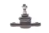 Опора кульова (передня/знизу) Hyundai i30/ Kia Cee&#039;d 06- KAVO PARTS SBJ-4010 (фото 1)