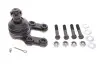 Опора кульова (передня) Nissan Terrano II 92-02 KAVO PARTS SBJ-6502 (фото 1)